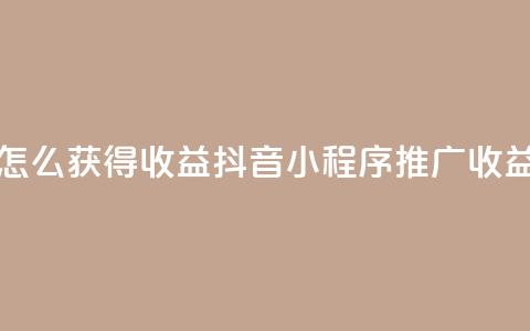 抖音推广小程序怎么获得收益 - 抖音小程序推广收益获取指南~  第1张