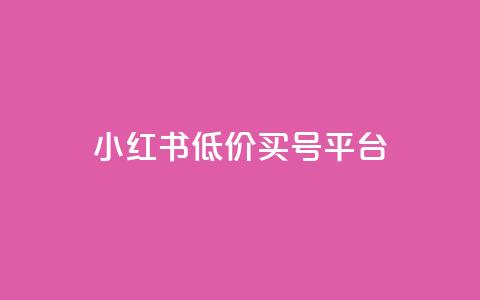 小红书低价买号平台 - 抖音24小时平台有哪些  第1张