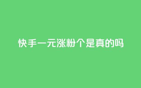 快手一元涨粉1000个是真的吗 - 快手一元购买1000粉丝靠谱吗揭秘~  第1张
