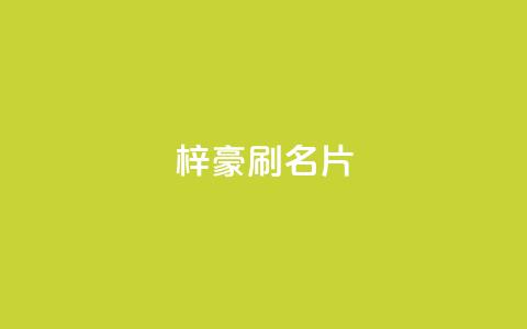 梓豪刷名片,点赞自助1元100赞 - 免费公安查询网 抖音怎么起号运营  第1张