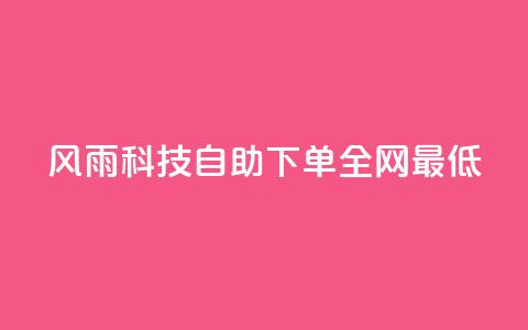 风雨科技自助下单全网最低 - 风雨科技自助下单享受全网最低价格攻略~  第1张