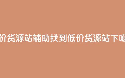 低价货源站辅助(找到低价货源站) 第1张 低价货源站辅助(找到低价货源站) 第1张