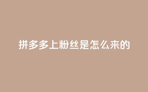 拼多多上粉丝是怎么来的 - 拼多多是如何吸引粉丝的？~  第1张