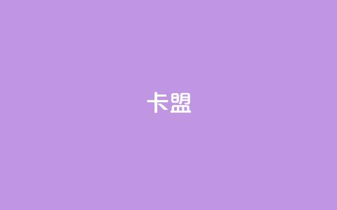 947卡盟 - 优化您的网站流量：提升SEO排名的有效策略!  第1张
