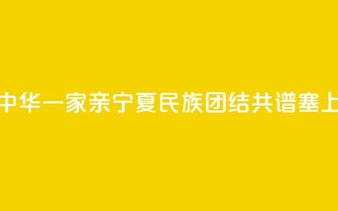 【铸牢共同体 中华一家亲】宁夏：民族团结 共谱塞上江南新篇章  第1张