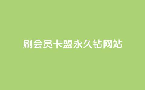 刷会员卡盟永久钻网站 - 永久钻刷会员卡盟网站：畅享会员特权，提高网站排名~  第1张