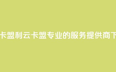 利云卡盟 - 利云卡盟：专业的SEO服务提供商!  第1张