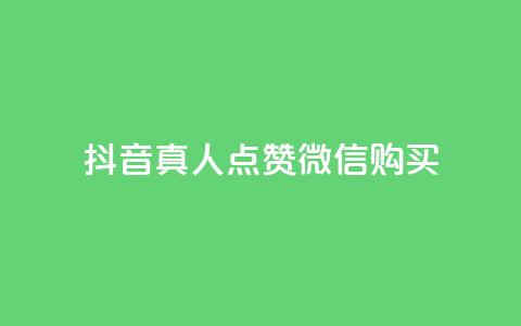 抖音真人点赞微信购买,快手低价二十四小时下单平台 - KS直播业务下单平台 qq业务网站免费  第1张
