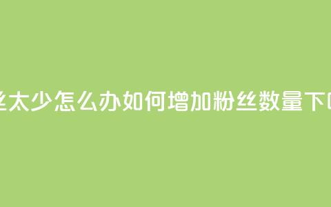 粉丝太少怎么办 - 如何增加粉丝数量？!  第1张