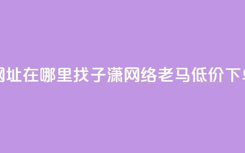 快手点网址在哪里找 - 子潇网络老马低价下单  第1张