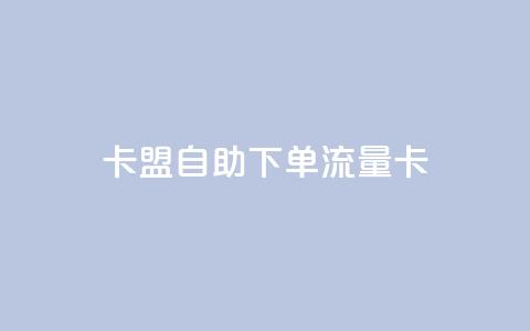 卡盟自助下单流量卡 - 自助下单流量卡升级体验! 第1张 卡盟自助下单流量卡 - 自助下单流量卡升级体验! 第1张
