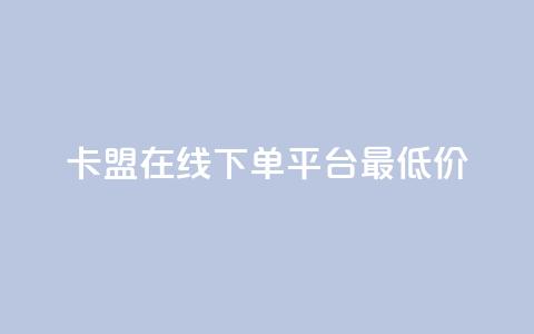 卡盟在线下单平台最低价 - 最低价在线下单平台推荐~  第1张