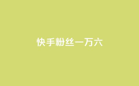 快手粉丝一万六,qq业务平台网站 - 24小时自动发卡网站 免费业务自助下单网站  第1张