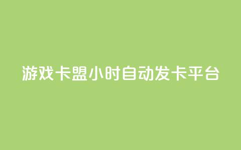 游戏卡盟24小时自动发卡平台 - 24小时自动发卡平台：游戏卡盟如何提供便捷发卡服务？~  第1张