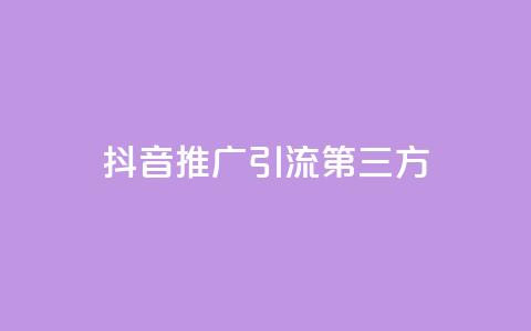 抖音推广引流第三方 - 抖音推广引流，掌握第三方技巧，提升营销效果~  第1张