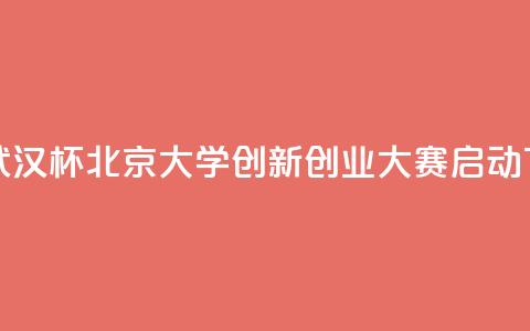 首届“武汉杯”北京大学创新创业大赛启动  第1张