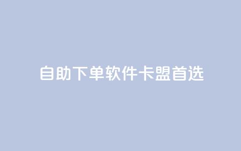 自助下单软件——卡盟首选  第1张