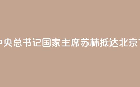 越共中央总书记、国家主席苏林抵达北京  第1张