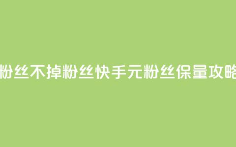 快手1元3000粉丝不掉粉丝(快手1元粉丝保量攻略)  第1张