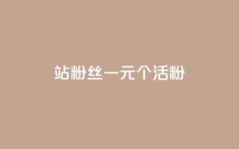 b站粉丝一元1000个活粉 - 如何在B站获得1000个活跃粉丝，仅需1元~  第1张
