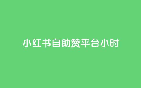 小红书自助赞平台24小时 - 24小时全天候自助赞平台	，小红书助力您的SEO优化~  第1张