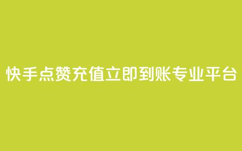 快手点赞充值立即到账专业平台  第1张