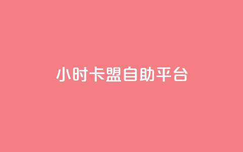 24小时卡盟自助平台 - 24小时自助卡盟平台规划指南!  第1张