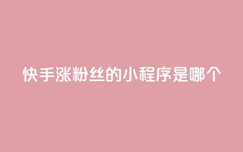 快手涨粉丝的小程序是哪个,QQ空间精选照片怎么设置 - 刷钻卡盟永久钻网站 qq显示没有在意  第1张