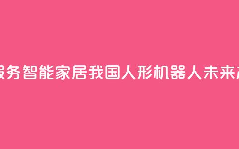 真实家庭服务、智能家居……我国人形机器人未来产业正成长  第1张