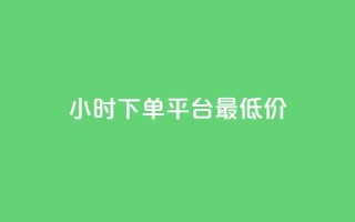 24小时下单平台最低价,快手低价业务网 - 全网24小时自助下单网站在线 - 抖音粉丝业务平台代理