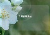 九五社区主站