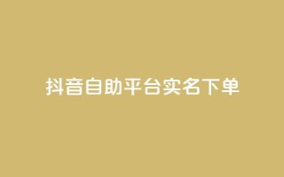 抖音自助平台实名下单