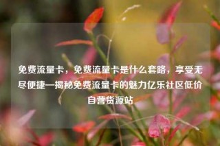 免费流量卡，免费流量卡是什么套路，享受无尽便捷—揭秘免费流量卡的魅力亿乐社区低价自营货源站