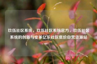玖伍社区系统，玖伍社区系统官方，玖伍社区系统的创新与变革亿乐社区低价自营货源站