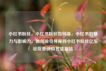 小红书粉丝，小红书粉丝如何涨，小红书的魅力与影响力，如何吸引并保持小红书粉丝亿乐社区低价自营货源站