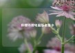 哔哩哔哩电脑版老是卡