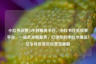小红书点赞24小时服务平台，小红书任务接单平台，一站式点赞服务，打造你的小红书爆品！亿乐社区低价自营货源站