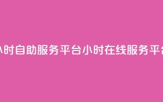 24小时自助服务平台(24小时在线服务平台)