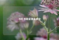 小红书商家佣金多少