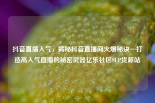 抖音直播人气，揭秘抖音直播间火爆秘诀—打造高人气直播的秘密武器亿乐社区SUP货源站