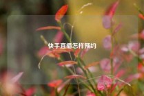 快手直播怎样预约