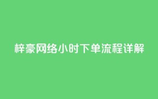 梓豪网络24小时下单流程详解,快手双击24h下单网站 - 快手卖赞软件 - dy业务自助下单软件