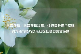 抖音涨粉，抖音涨粉攻略，快速提升用户基础的方法与技巧亿乐社区低价自营货源站