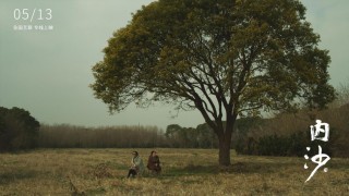 专访｜《内沙》导演杨弋枢：挽留终将失去的美好