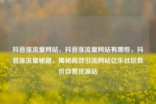 抖音涨流量网站，抖音涨流量网站有哪些，抖音涨流量秘籍，揭秘高效引流网站亿乐社区低价自营货源站