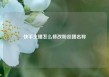 快手主播怎么修改粉丝团名称
