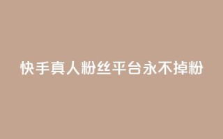 快手真人粉丝平台 永不掉粉 - 快手永不流失真实粉丝服务平台!
