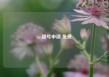 qq靓号申请 免费