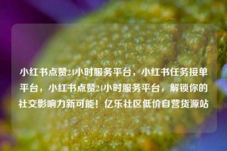 小红书点赞24小时服务平台，小红书任务接单平台，小红书点赞24小时服务平台，解锁你的社交影响力新可能！亿乐社区低价自营货源站
