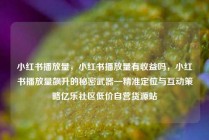 小红书播放量，小红书播放量有收益吗，小红书播放量飙升的秘密武器—精准定位与互动策略亿乐社区低价自营货源站